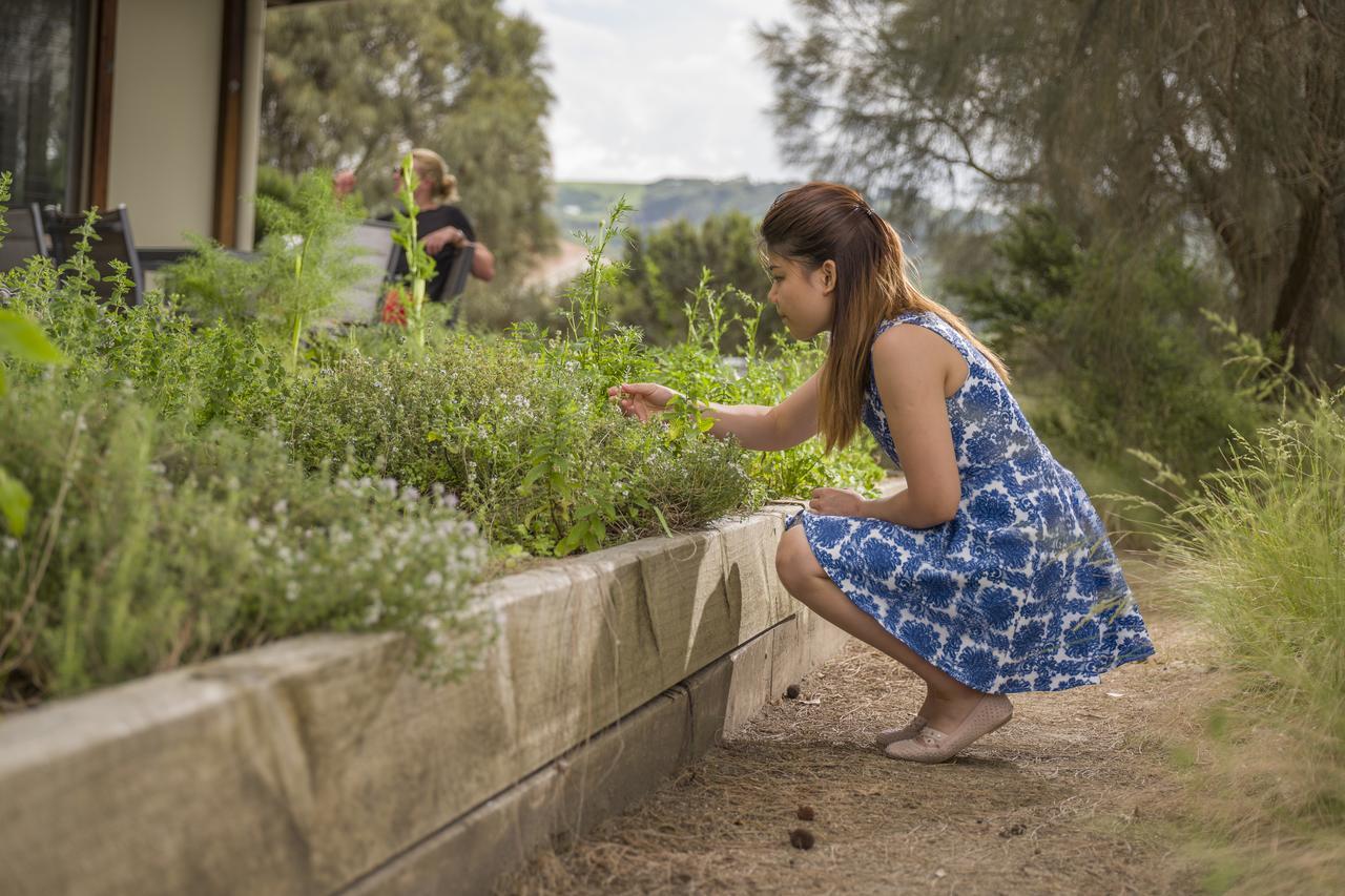 Yha Apollo Bay Eco Hostel Εξωτερικό φωτογραφία